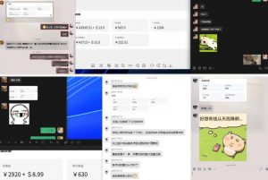 雷神加速器项目模拟器_无脑1分钟1条视频矩阵_疯狂报单打法【焚诀】-淘金日记