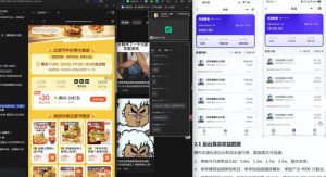 【直播课】原创思路打豆包项目,全是独家思路分析-淘金日记