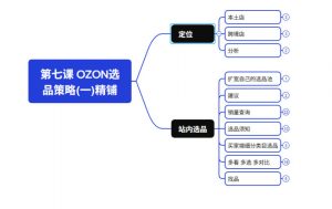 2026最新OZON全流程运营实操跨境电商平台教程，OZON全流程一站式系统学习必修课，从开店到跟卖到精铺-淘金日记