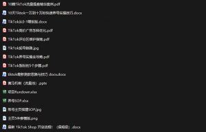 TikTok从0-1实操资料包:养号SOP+爆款公式+投流手册,新手30天可起号变现,抓住TikTok流量红利-淘金日记