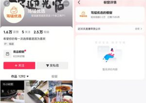 无需实拍也能做好抖音车载带货项目，收益非常稳定，每天坚持发就可以！-淘金日记