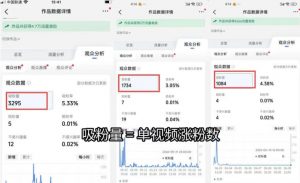 苗子起号涨粉实战变现训练营,多类目零基础爆款起号、精准起号节奏、新手稳涨粉可落地变现全课(更新0719)-淘金日记