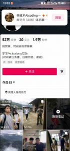 外面卖188的AI伪记录片掘金全攻略，抖音图文新赛道，轻松涨粉变现，拿创作者伙伴计划收益【文档】（更新）-淘金日记