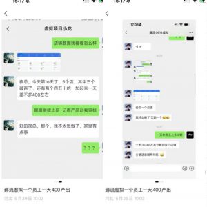 薅流虚拟2.0陪跑课,0成本AI流程化操作,淘宝+闲鱼同步玩法,上一次货两个平台有收益,单店每天200纯利润-淘金日记