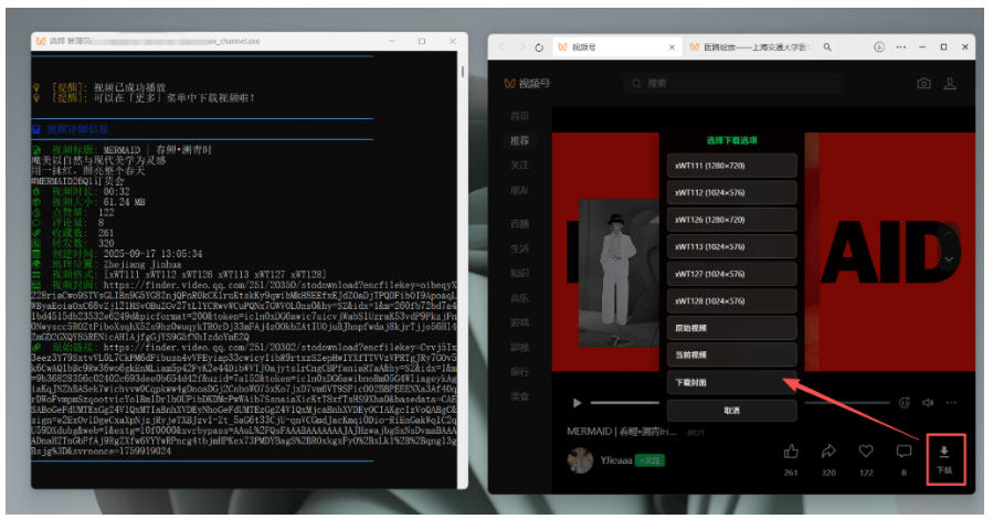 Github热门工具，视频号下载神器又来了！一键注入下载按钮，轻松下载，使用便捷wx_channel-淘金日记